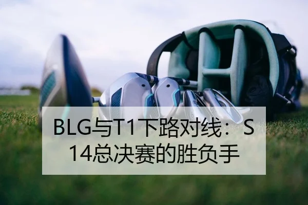 BLG与T1下路对线：S14总决赛的胜负手 - PG
